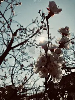 春天,怀旧