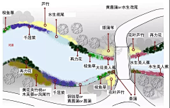 吴怀秀采集到植栽