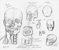 Random anatomy sketches 3 by *RV1994 on deviantART