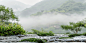koala_sleep_White_background_white_fog_in_the_foreground_moss_o_2cf9c92c-6310-4ad3-beaf-7654cadb3560