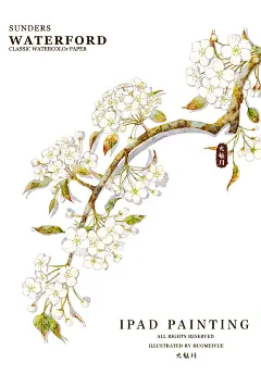 水彩花卉 (5)