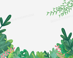 qidian000采集到手绘植物
