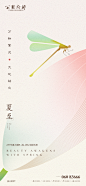 夏至海报-设计素材-shejisc.cn