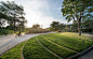 泰国药用植物园景观 Medicinal Plant Garden by LAB-mooool设计