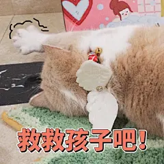 蜜桃的表情包放送酒心的蜜桃酥 @酒心蜜桃酥 今天还做了酥酥和酒心的表情鸭这一组感觉是都可以当头像的表情包做个动图敷衍一下 凑九张图猫咪表情包 @猫咪表情包 ​​​​