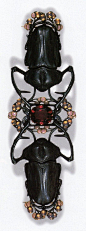 Blister Beetle Corsage Ornament by René Lalique, ca.1903-04. Gold, silver, tourmaline, enamel, glass; 14.9 cm long