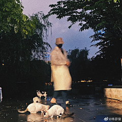 冰湘君采集到明星