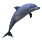 Dolphin PNG by LG-Design on DeviantArt