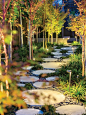 Landscape Design Ideas, Pictures, Remodel