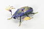 Imaginative Insects Formed From Resin and Brass by Hiroshi Shinno : Japanese artist Hiroshi Shinno builds hyperrealistic sculptures of insects that don't exist, perfect forms of imaginative species that look as if they were built from vibrant leaves and d