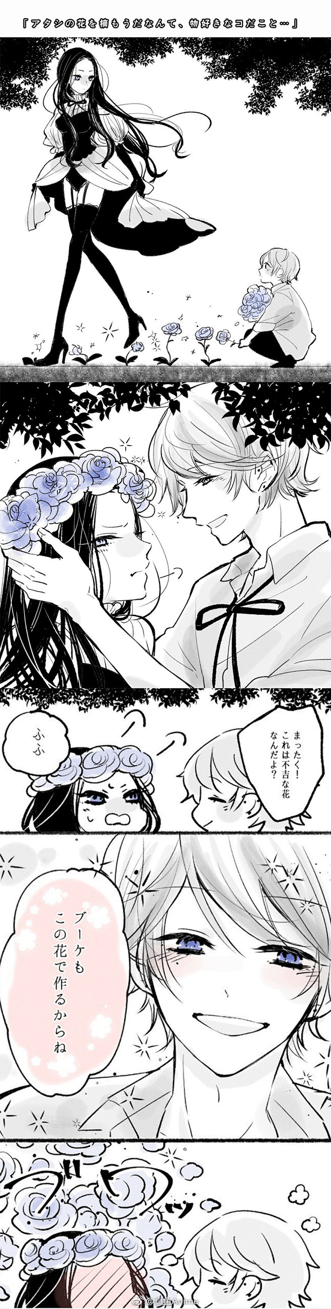 真鱼Anime的照片 - 微相册