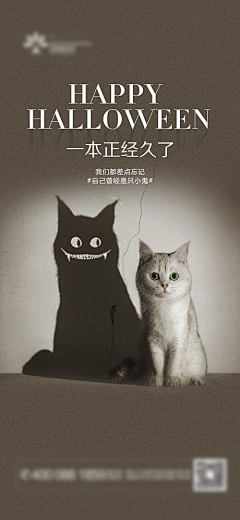 猫巷_c采集到海报