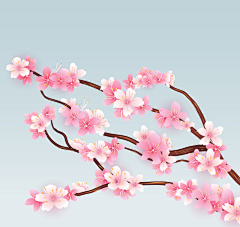 暮兮0采集到素材-手绘花