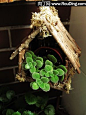 DIY小房子花器,枯树枝-生活废品做花盆架-创意生活,手工制作╭★肉丁网