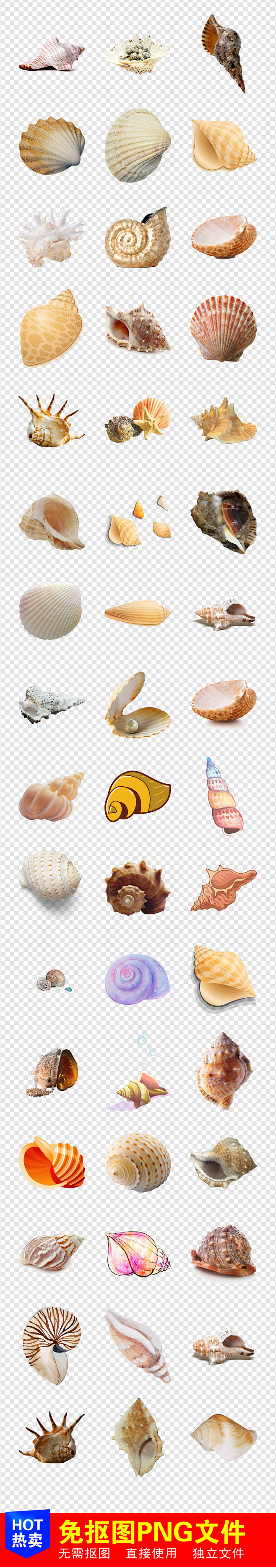 海星海浪海螺漂流瓶海洋沙滩夏季海报素材