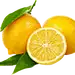 泡泡糖(๑gt;؂lt;๑）