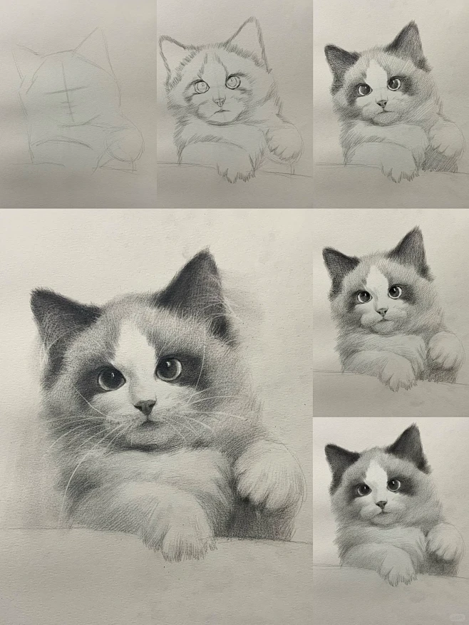 素描动物合集 详细绘画步骤图文