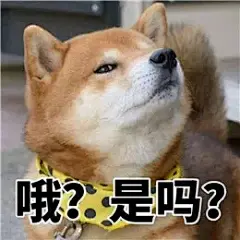 谁再跟你无耻尬聊，就用这些自带BGM的表情包逼退他 : 亲，在吗？