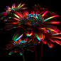 3D abstract art cinema4d colorful cyber digital flower gif octane