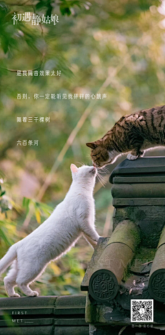 小龙数码设计采集到文案排版|字体