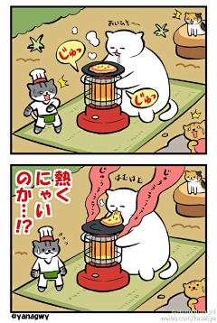 潘胖胖的小沫采集到PANGPANG