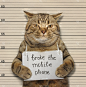 猫打破了手机。