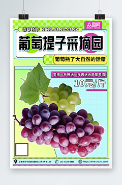 ZTU蜀大侠z采集到设计元素1