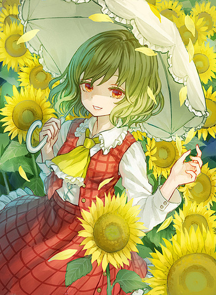 #风见幽香#