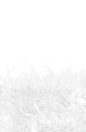 羽绒-12