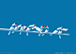 Art_of_Xi_Zhang_39