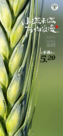 鲨鲨小姐采集到鲨鲨小姐的原创画板