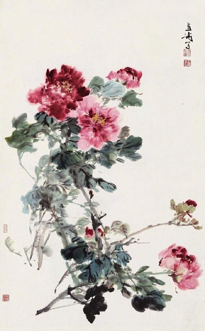写意牡丹～～（王雪涛）图片_写意花鸟图片素材-花瓣网
