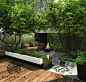 Small contemporary garden. Wonderful use of space incorporating shade, seating, heights creating different areas to enjoy, all within a small footprint I Landscape design: Wiktor Klyk