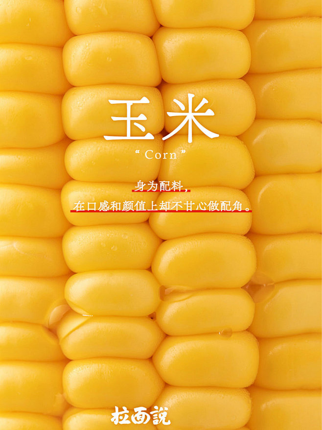 @拉面说 的个人主页 - 微博