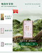 茶叶榜单 比赛茶 冻顶乌龙 乌龙茶海报 
