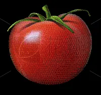 big red tomato with a green ponytail on a black