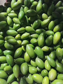 终于懂得采集到食品