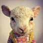 Dottie Lamb ‪#‎AnnieMontgomerie‬ ‪#‎doll‬ ‪#‎handmade‬ ‪#‎cute‬ ‪#‎lamb‬ ‪#‎animaldoll‬ by Sandra Efigénio on Flickr.