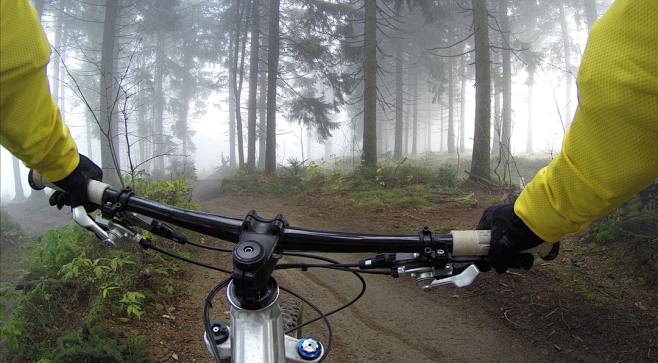 Bike, fog, forest an...