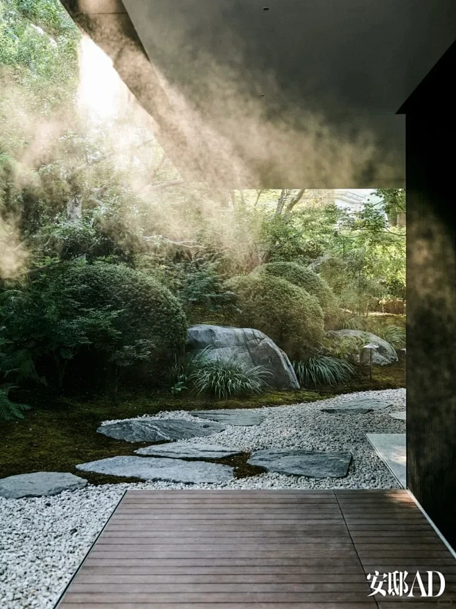 设计师孙建亚的家：造一片森林，引自然入室 - 小红书-花瓣网