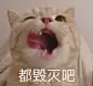 表情包表情包