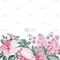 请柬,花卉花环,文字,自然,式样,边框,绘画插图,布置,花