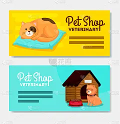 狗,猫,兽医,宠物商店,健康保健,药,食品,猫科动物,动物