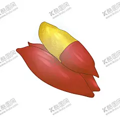 手绘红薯 【酷图网】红薯,卡通红薯插画,手绘红薯,卡通手绘红薯,红薯素材,卡通红薯素材,地瓜干,番薯条,红薯条,地瓜条,红薯干,蜜薯干,番薯干,甘薯条,红薯插画,红薯手绘