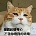 安安琪1994