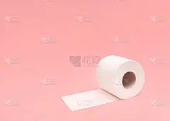有拷贝空间的卫生纸卷模板