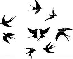燕子剪影  - 源文件下载【酷图网】燕子,飞燕,春天,小鸟,鸟,设计,AI,燕子矢量,矢量,燕子剪影,剪影,燕子剪纸,剪纸,燕子插画,插画,素材,燕子素材,装饰,装饰素材,海报素材,插画素材