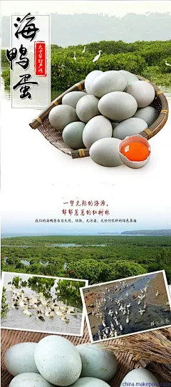 【厂家直供茂名特产沿海放养天然海鸭蛋（新鲜）30枚/箱】价格,厂家,图片,鸭蛋,广东蔡家园投资实业有限公司-马可波罗网