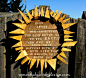 Make your own reclaimed wood sunflower! This is sooooo cool! By Somewhat Quirky: Sun Garden Art - Again