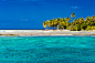 Beautiful Maldives beach, coral reef and blue lagoon with palm trees